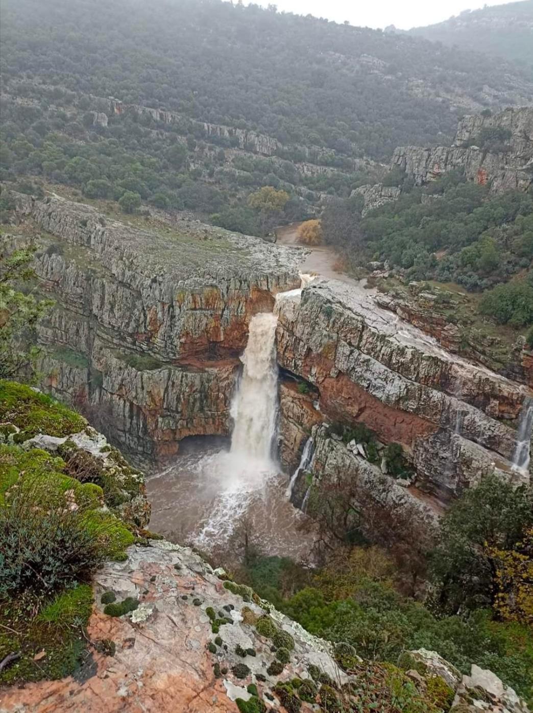 Casa Rural Batalla Navas De Tolosa, Despenaperros Σάντα Έλενα Εξωτερικό φωτογραφία